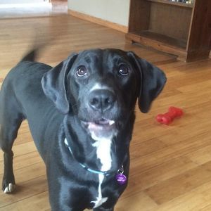 Meet your Posher, Jackie